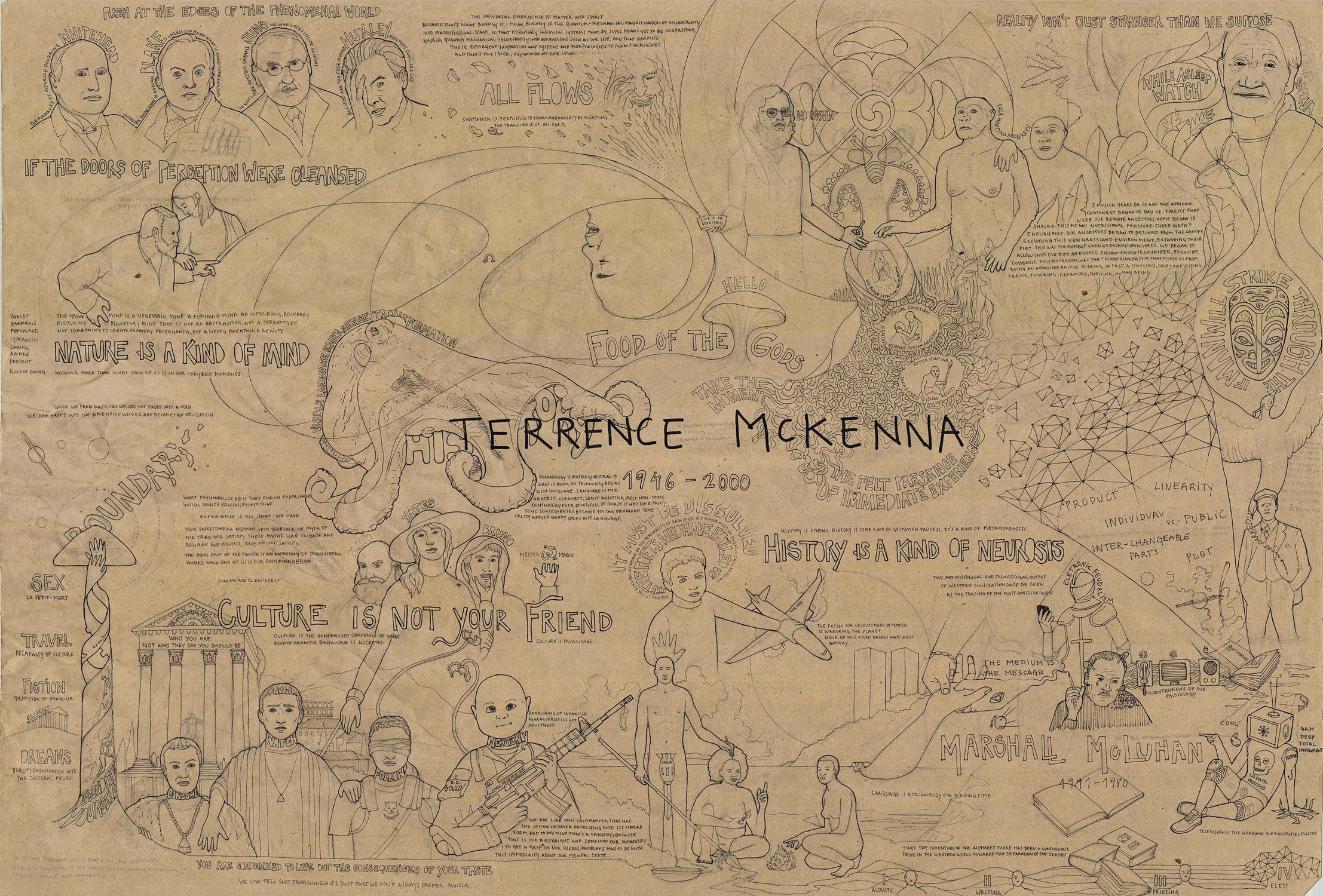 Goncalo Coimbra TERRENCE Mckenna Mind MaP